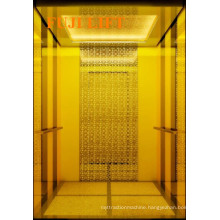 Titanium Gold FUJI Passenger Elevator on Sale